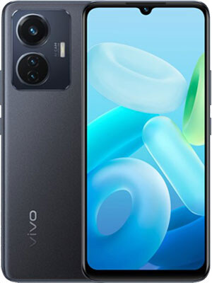 Vivo-Y55